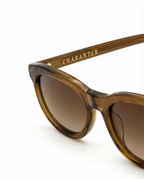 "Rebel, Golden Brown" CHARAXTER Sunglasses